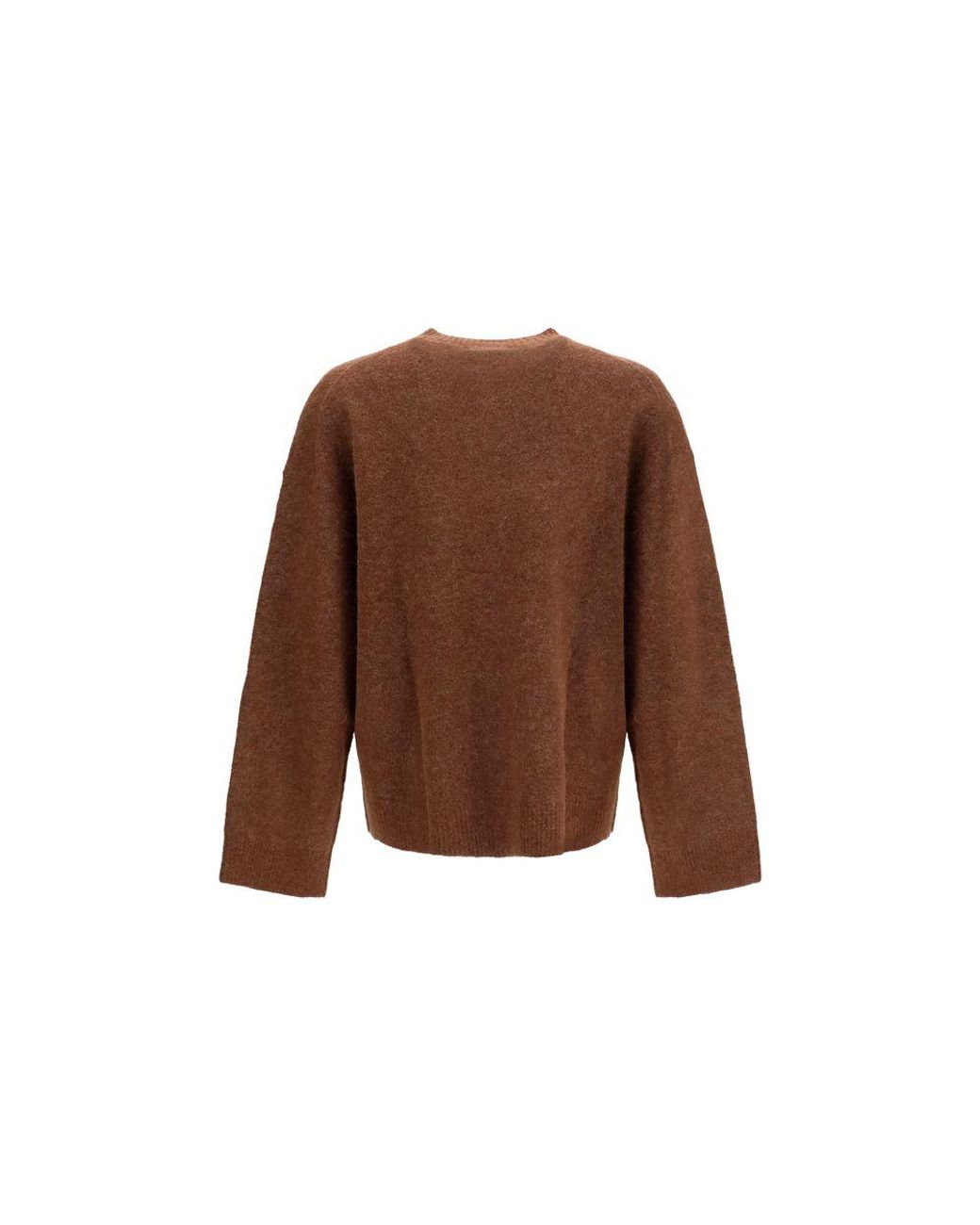 Represent Brown Alpaca Vicugna Pacos Sweatshirt for men