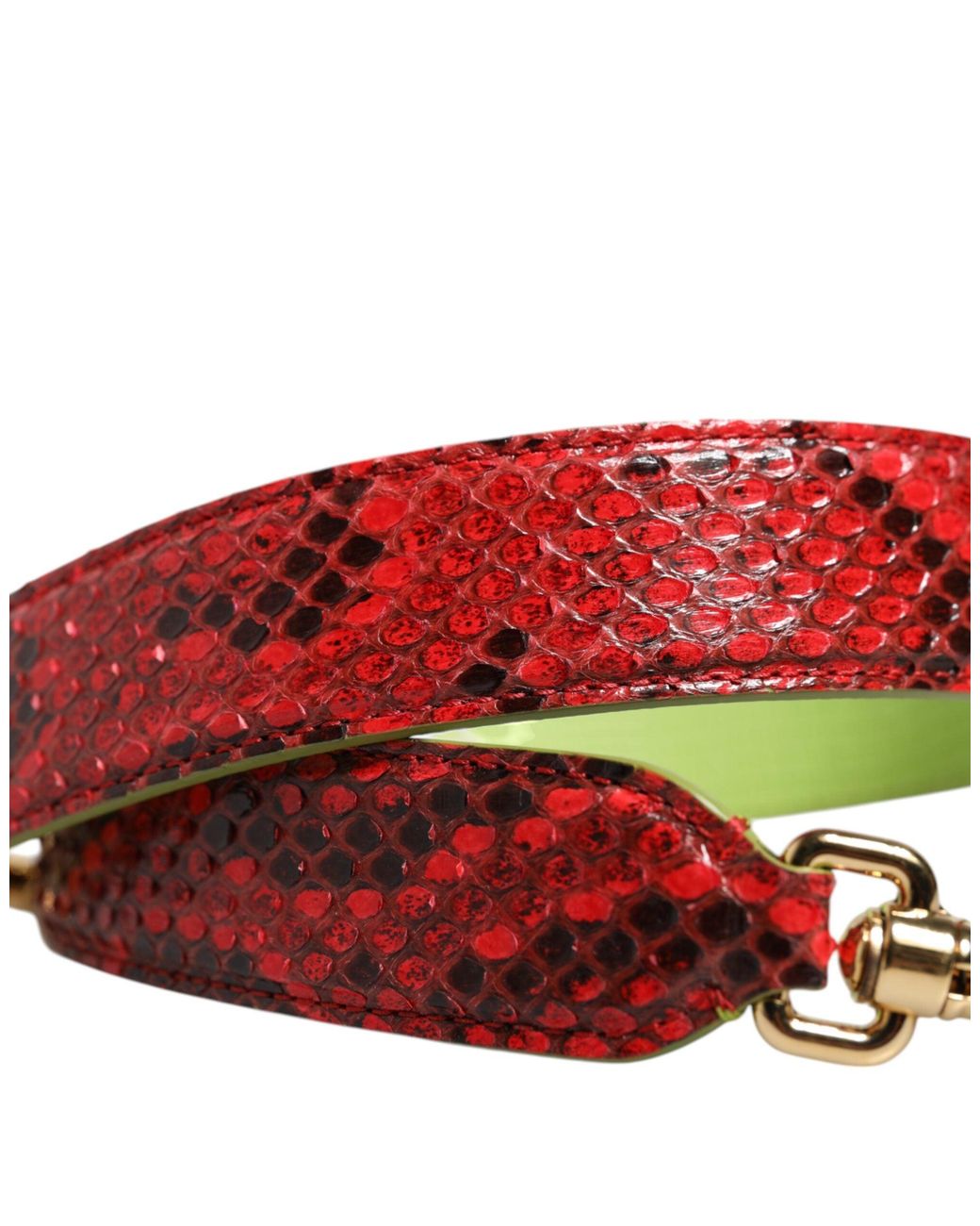 Dolce & Gabbana Green Red Exotic Leather Handbag Accessory Shoulder Strap