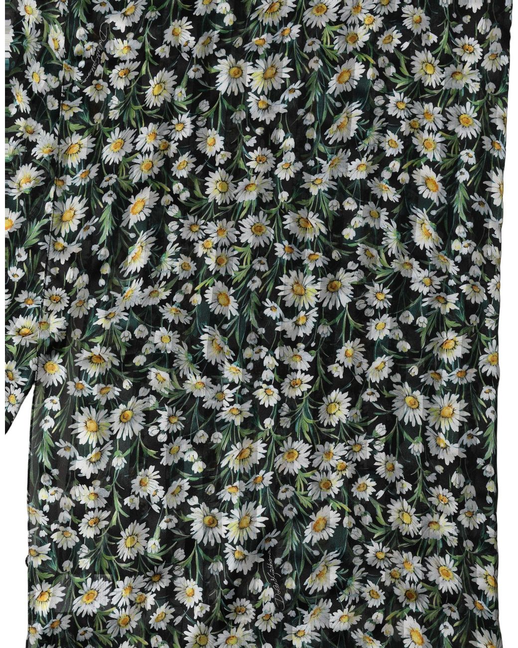 Dolce & Gabbana Green Black Silk Daisy Chiffon Long Stole Scarf