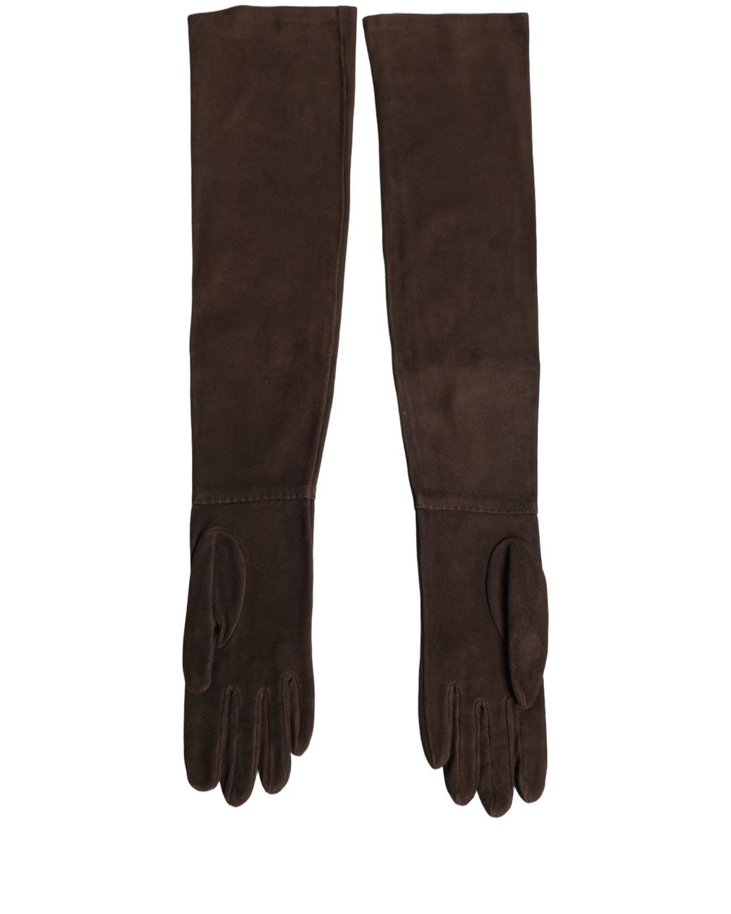 Dolce & Gabbana Brown Genuine Leather Suede Elbow Length Gloves