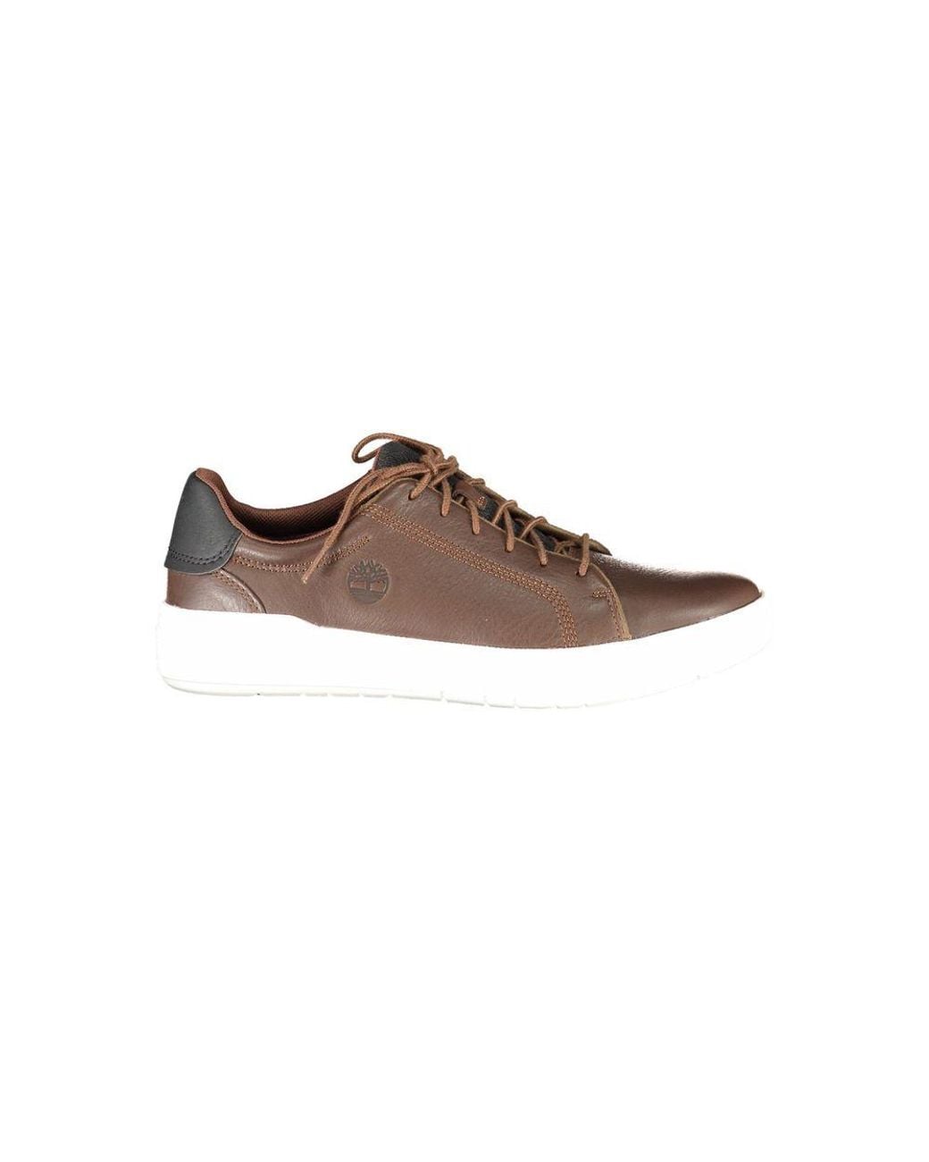 Timberland Brown Leather Casual Sneakers for men