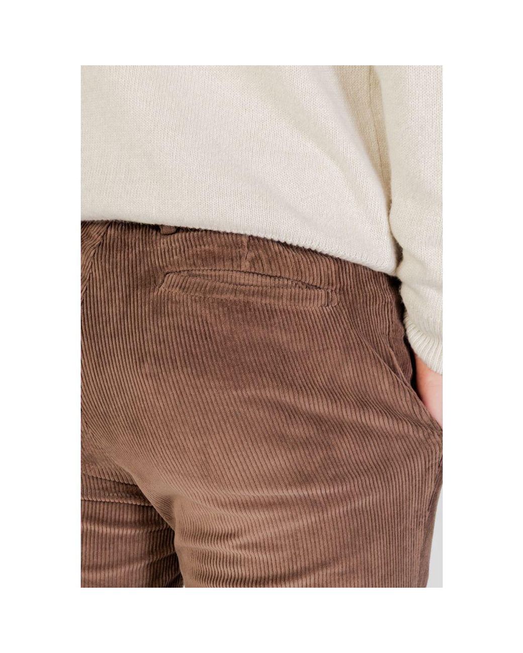 Borghese Brown Cotton Casual Pants for men