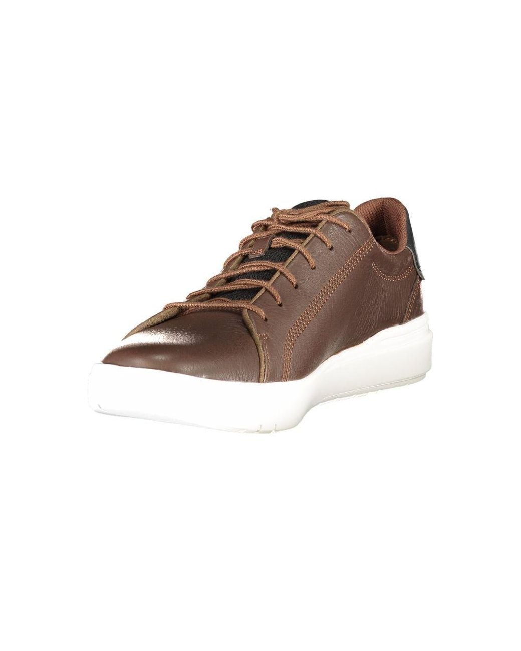 Timberland Brown Leather Casual Sneakers for men