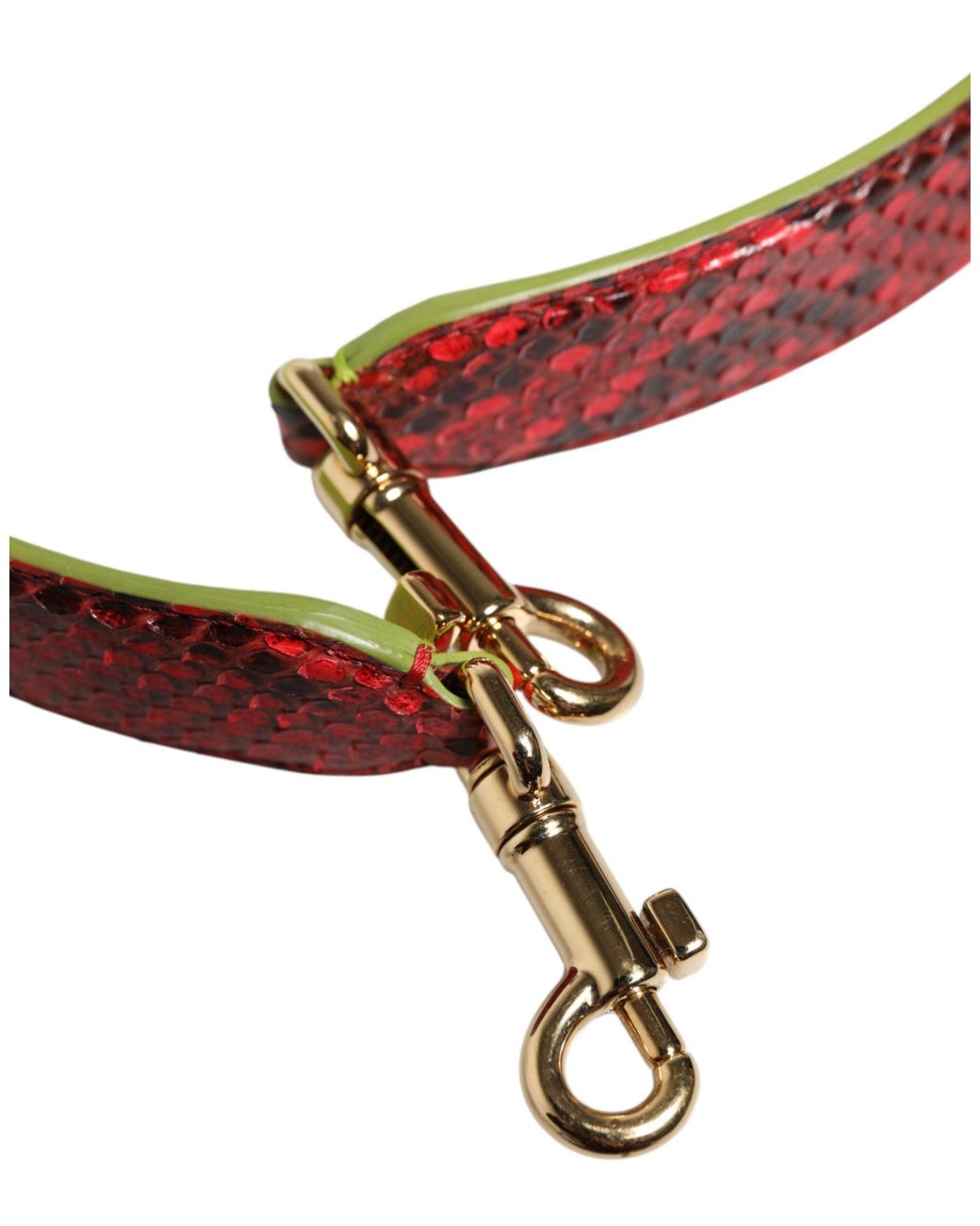 Dolce & Gabbana Green Red Exotic Leather Handbag Accessory Shoulder Strap