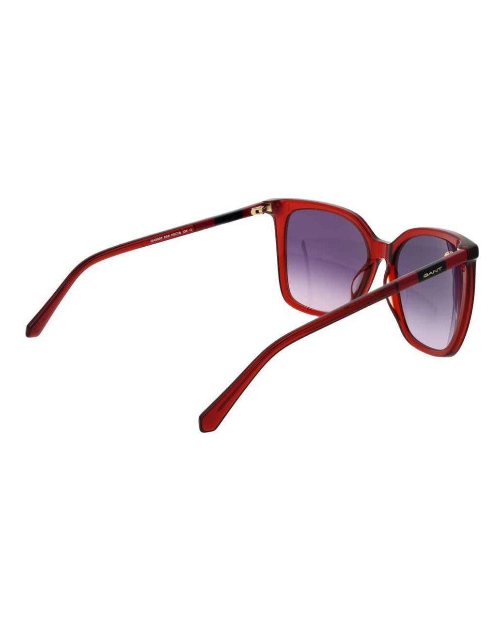 Gant Purple Acetate Sunglasses