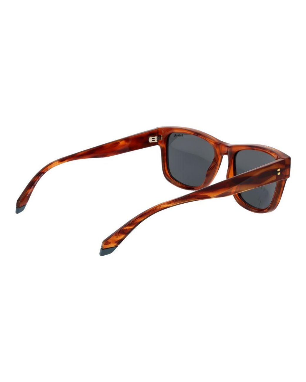 Polaroid Brown Plastic Sunglasses for men