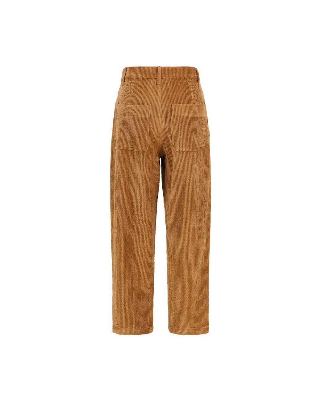 Kristina Ti Brown Cotton Casual Pants