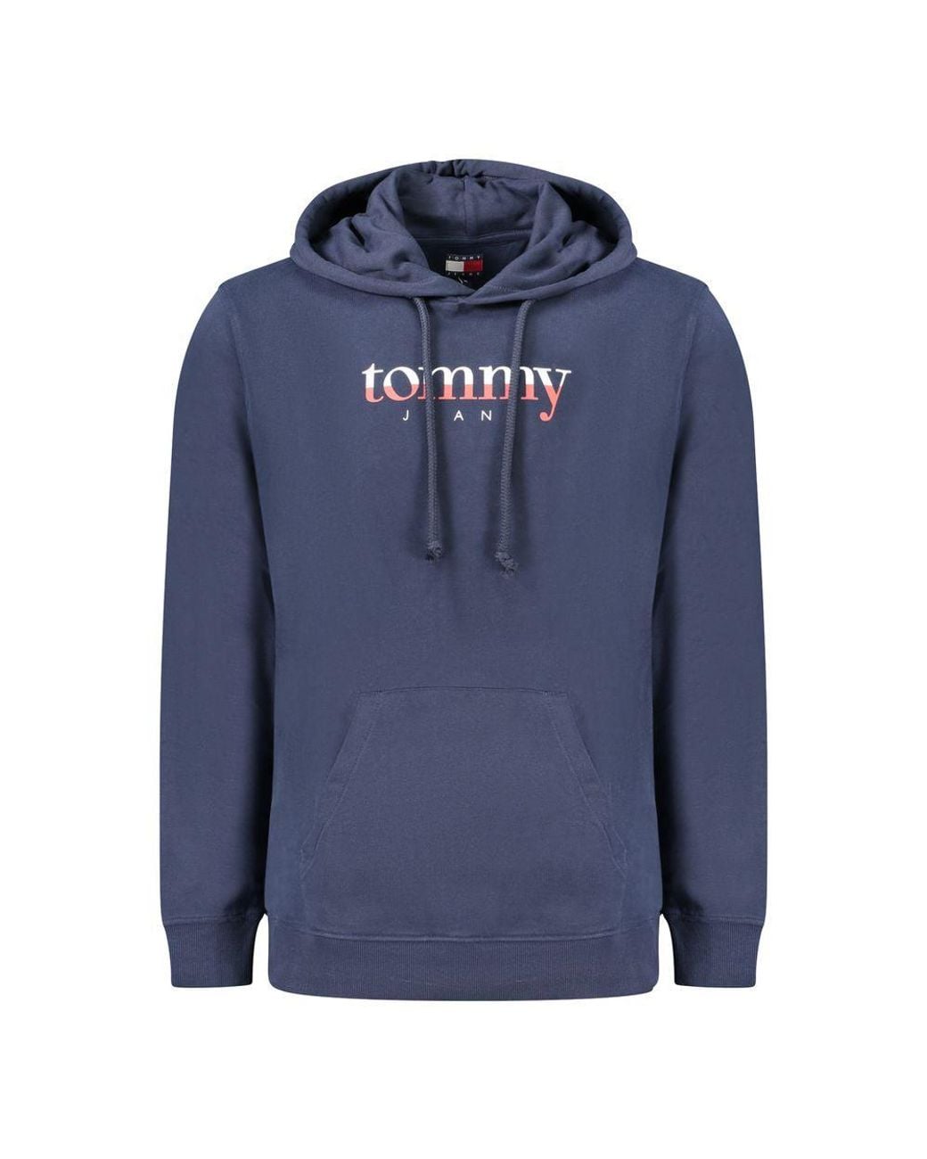 Tommy Hilfiger Blue Logo Print Casual Hoodie for men