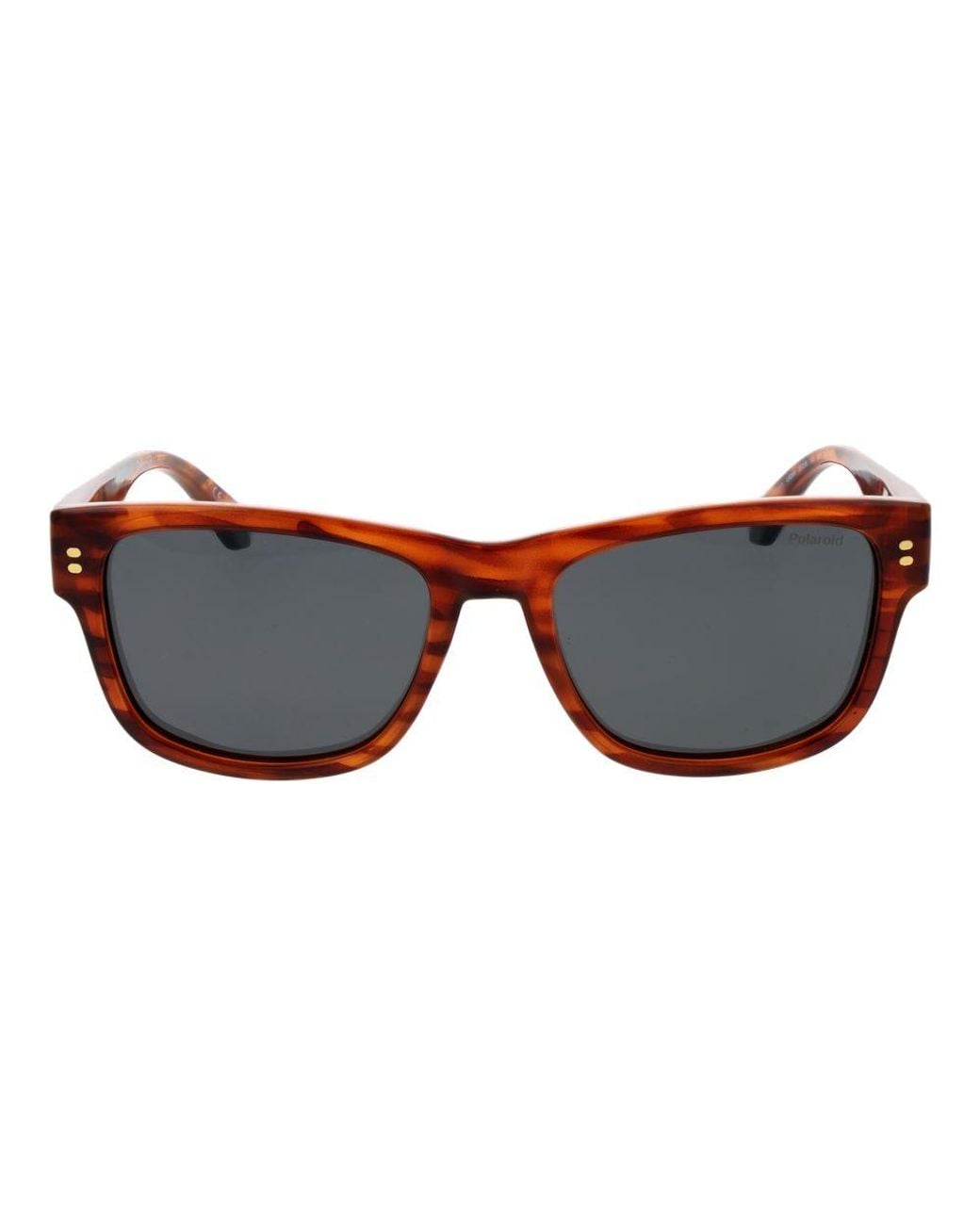 Polaroid Brown Plastic Sunglasses for men