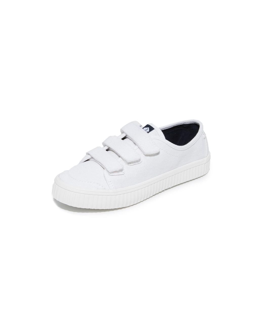 Sperry crest velcro creeper sneakers sale