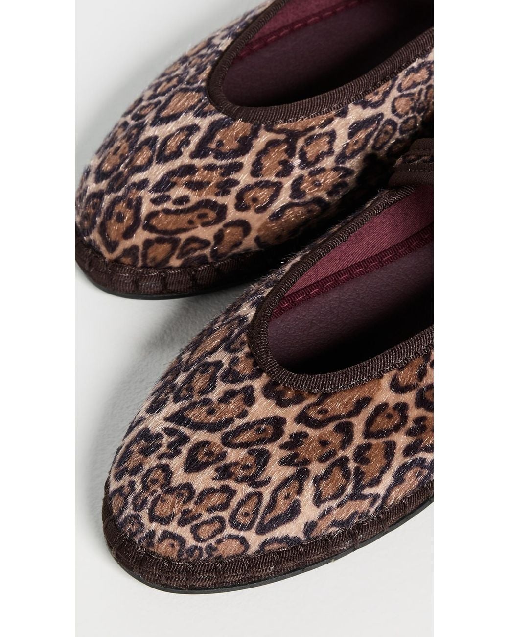 Flabelus Brown Pierre Flats