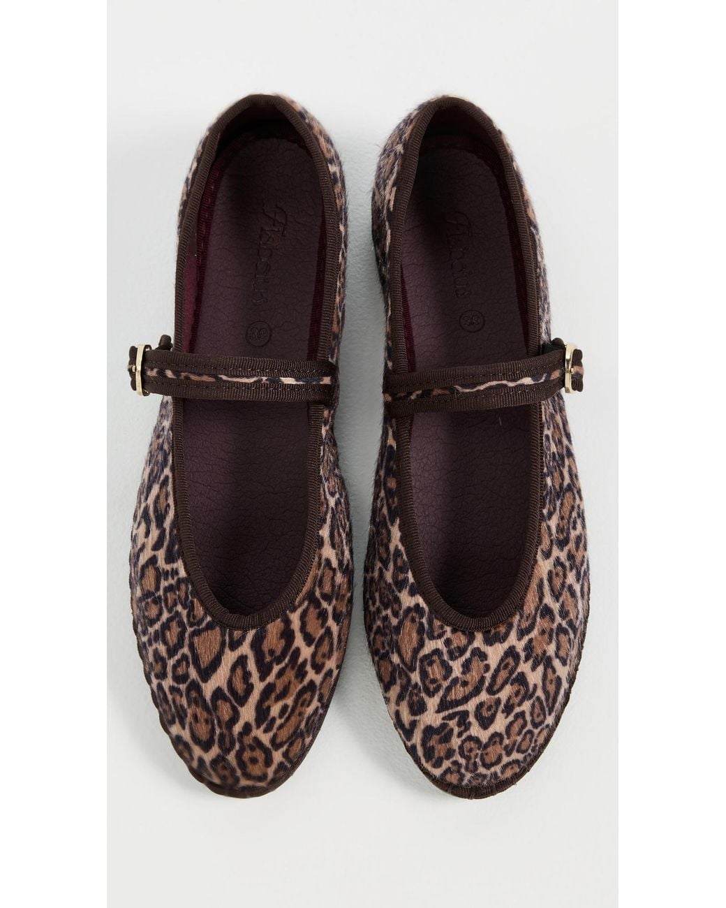 Flabelus Brown Pierre Flats