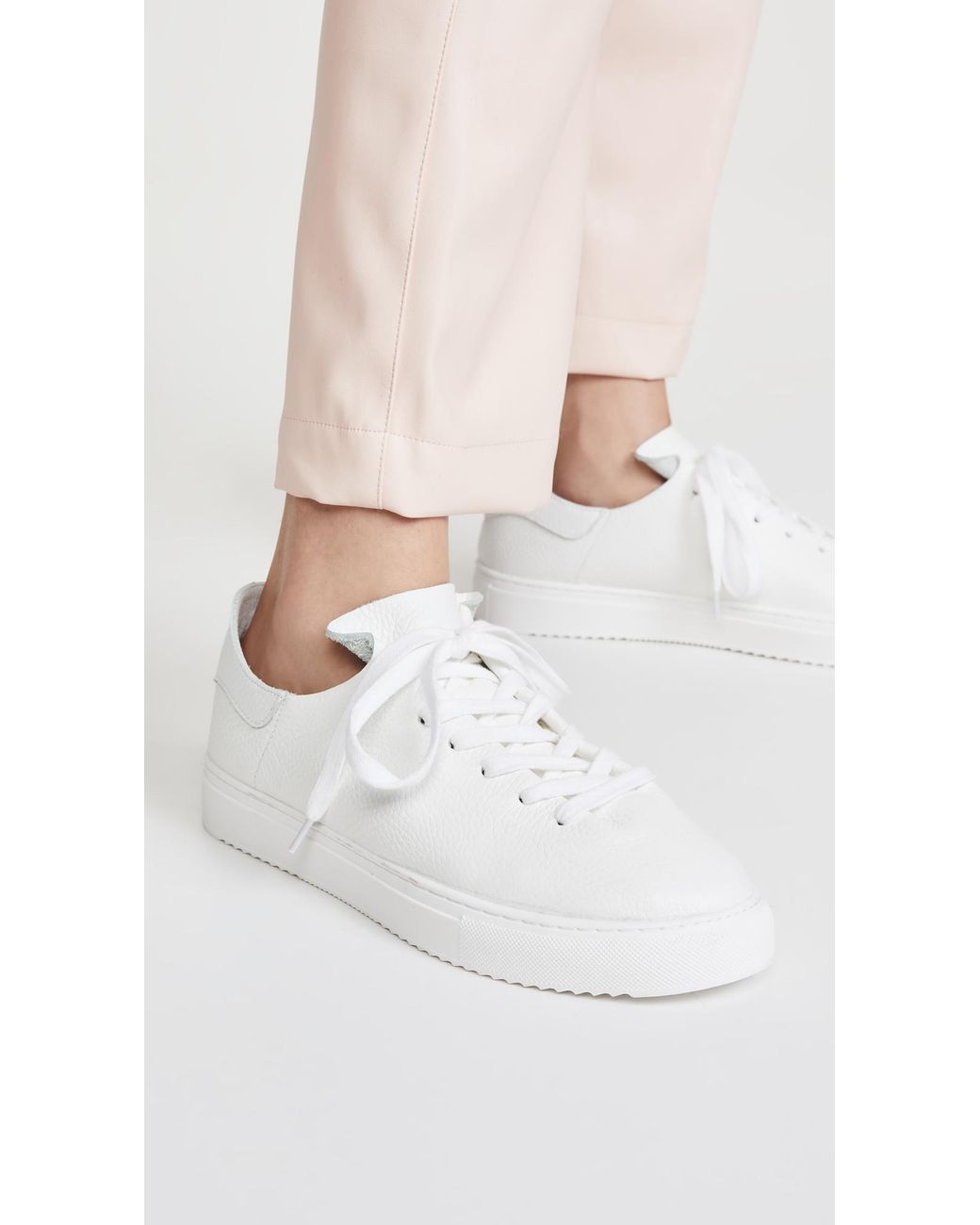 Sam edelman hot sale sneaker