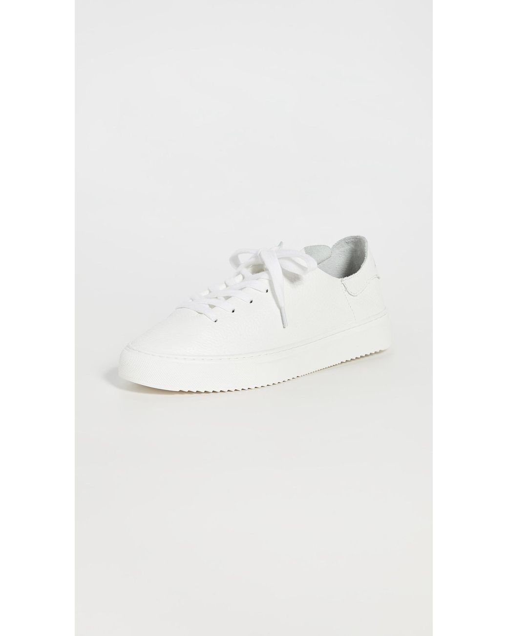Sam Edelman Poppy Sneakers in White Lyst