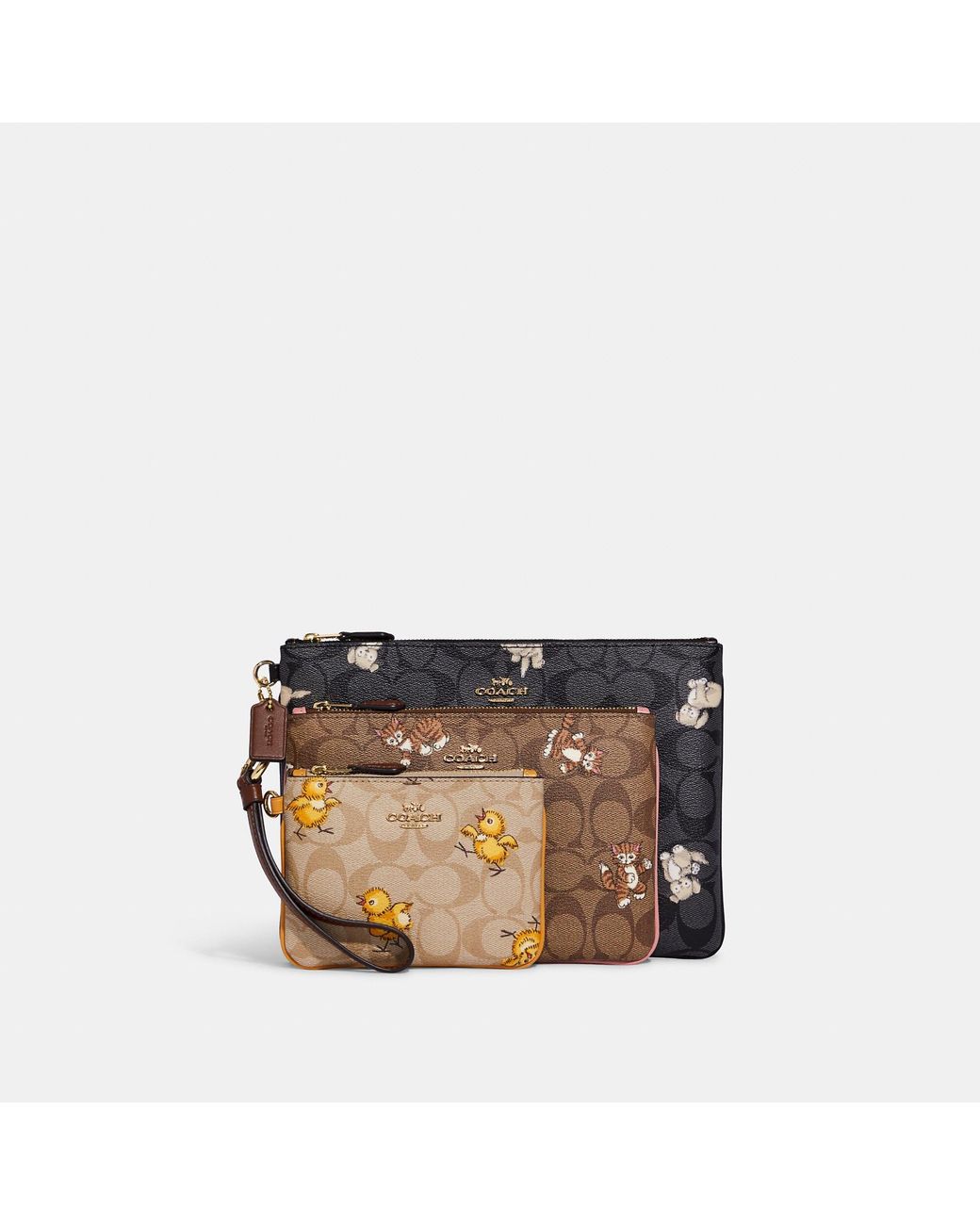 coach outlet pouch