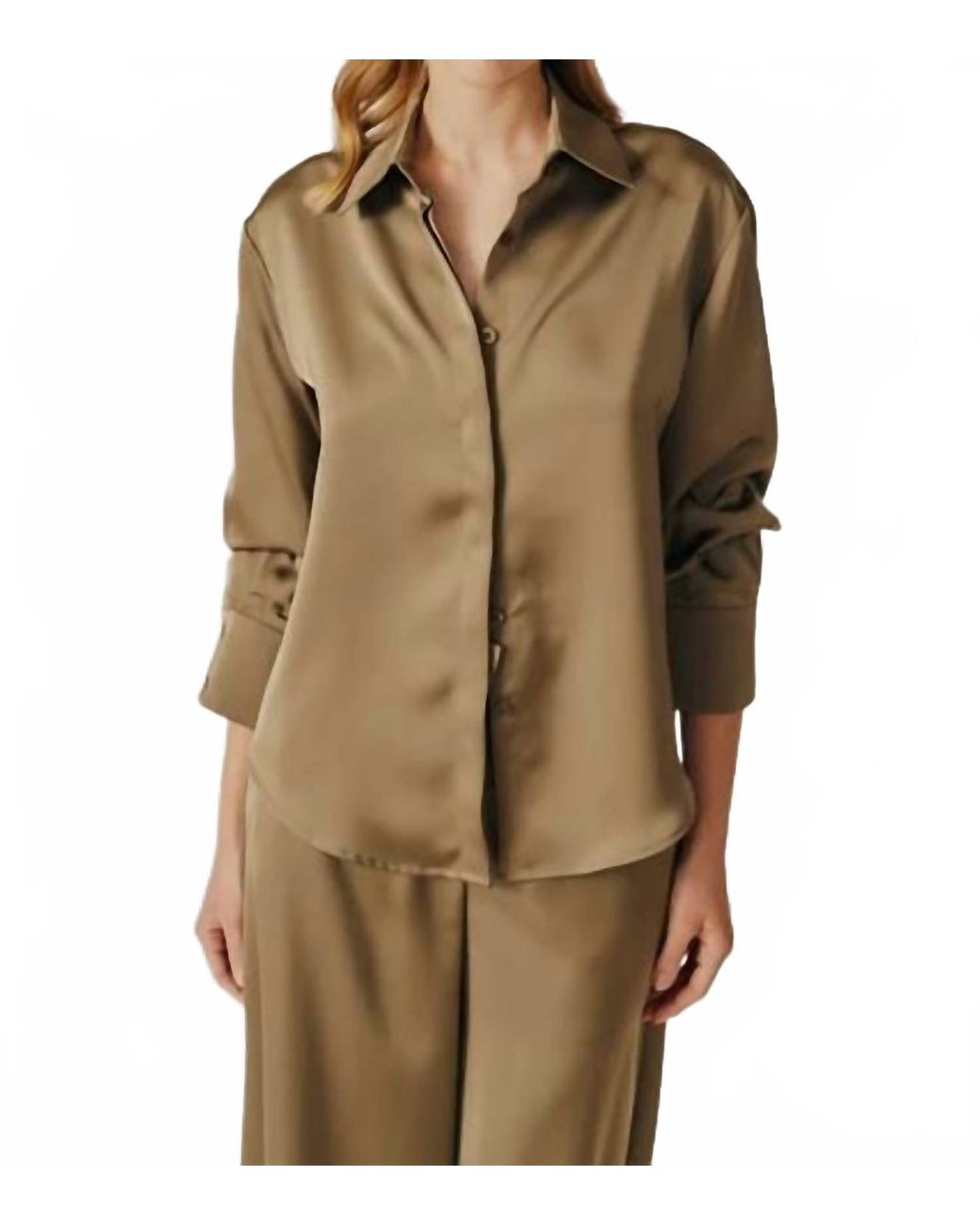 DELUC Brown Hosta Button Down Shirt