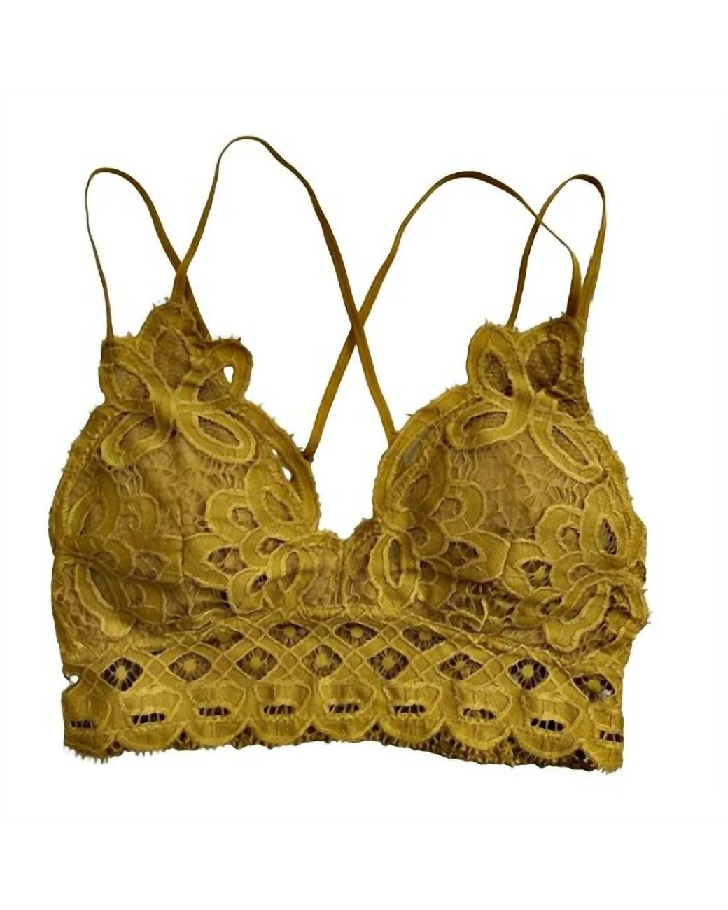 anemone-designer Sheen Lace Bralette In Gold in Yellow