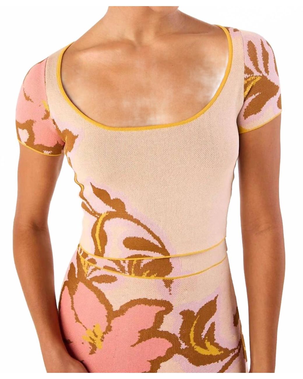 MISA Los Angles Orange Cypres Top