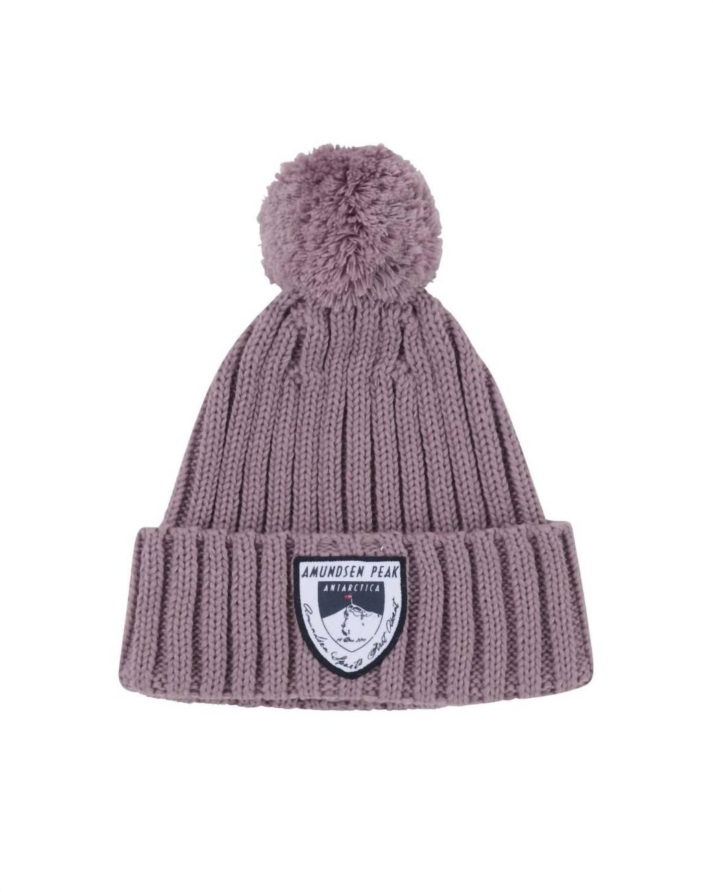 Amundsen Purple Groomer Beanie