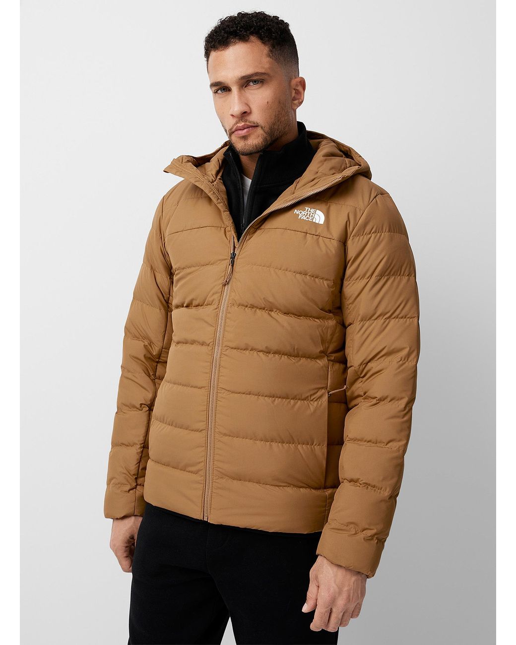 North face puffer jacket on sale with hood mens