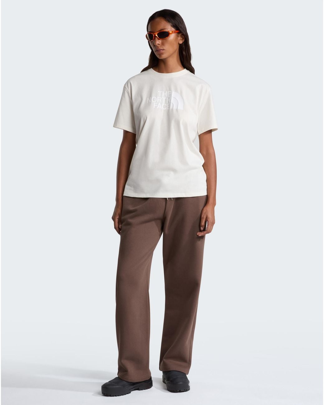 The North Face White Tnf Evolution Half Dome T-Shirt