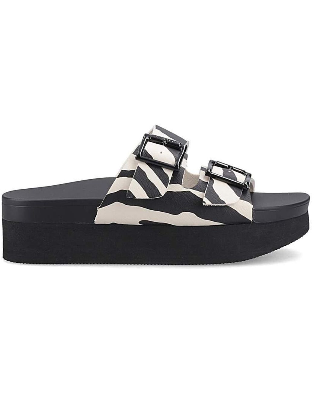 Rocket Dog Blue Esti Plus Wild Cat Sandal