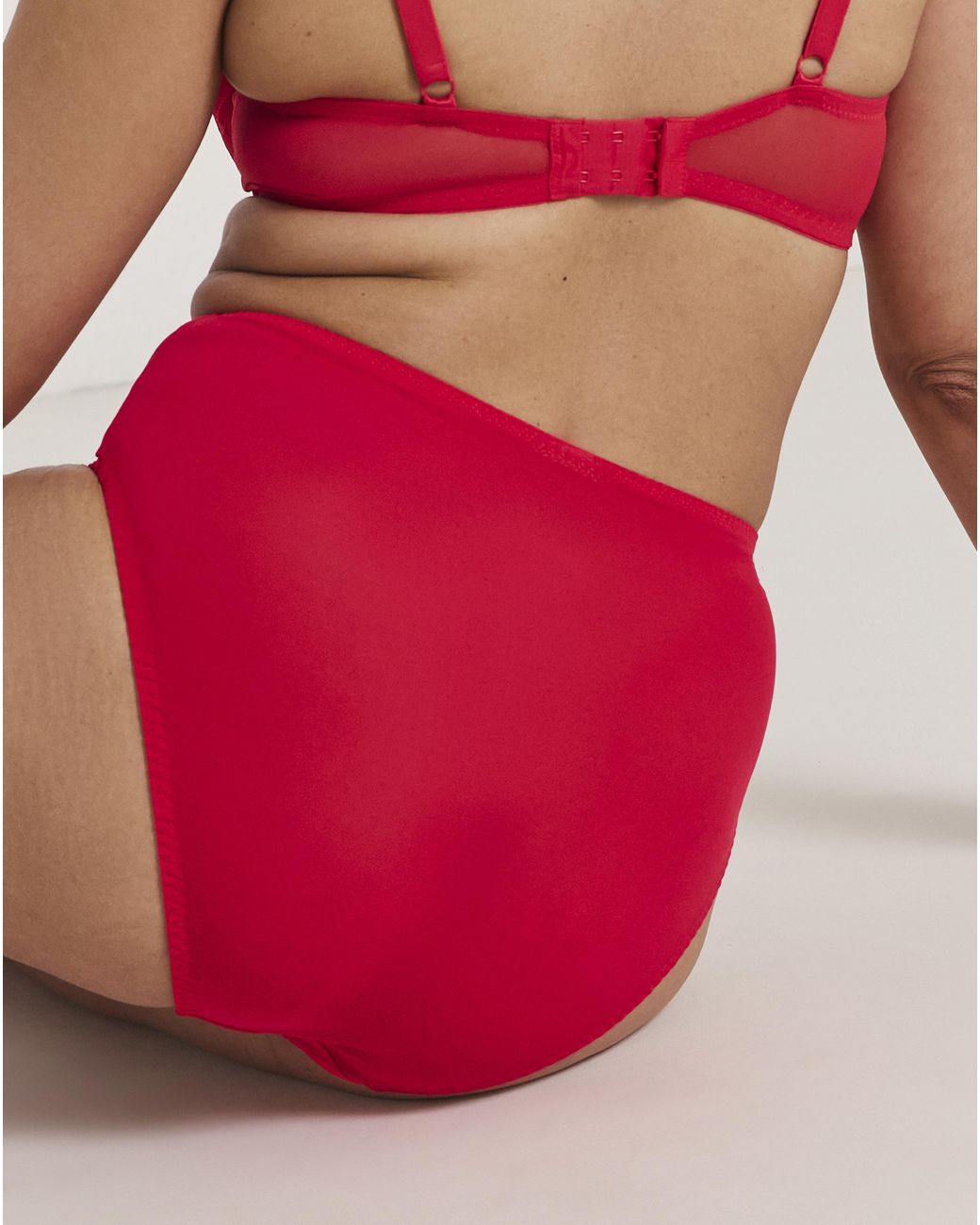 Pretty Secrets Red Ivy Full Brief Knickers