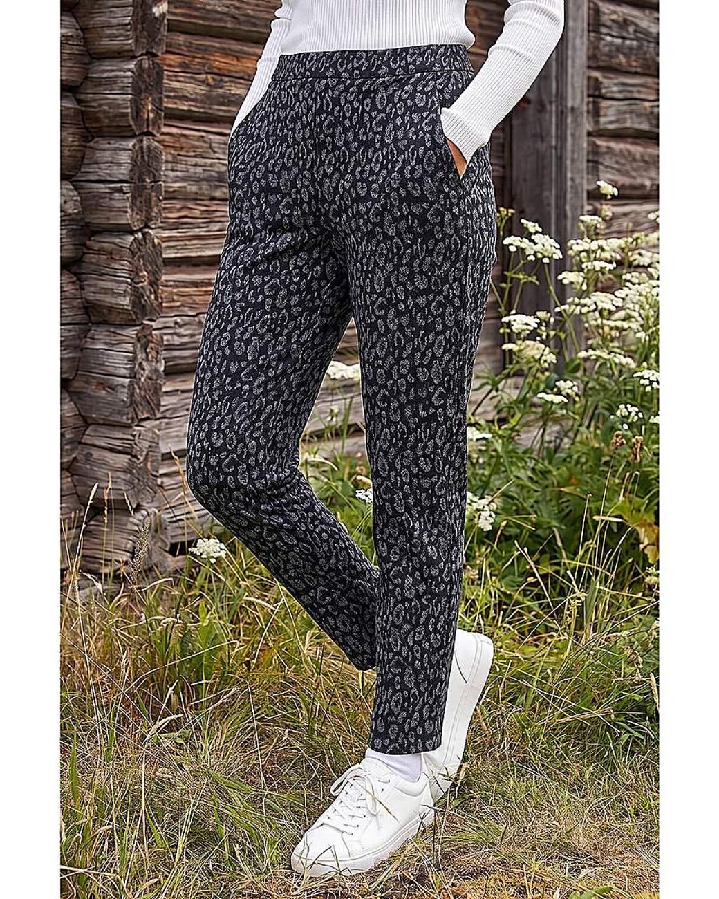 Roman Blue Roman Check Print Tapered Jogger