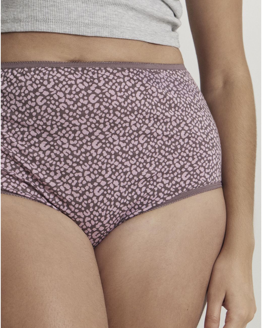 Pretty Secrets Gray 6 Pack Full Brief