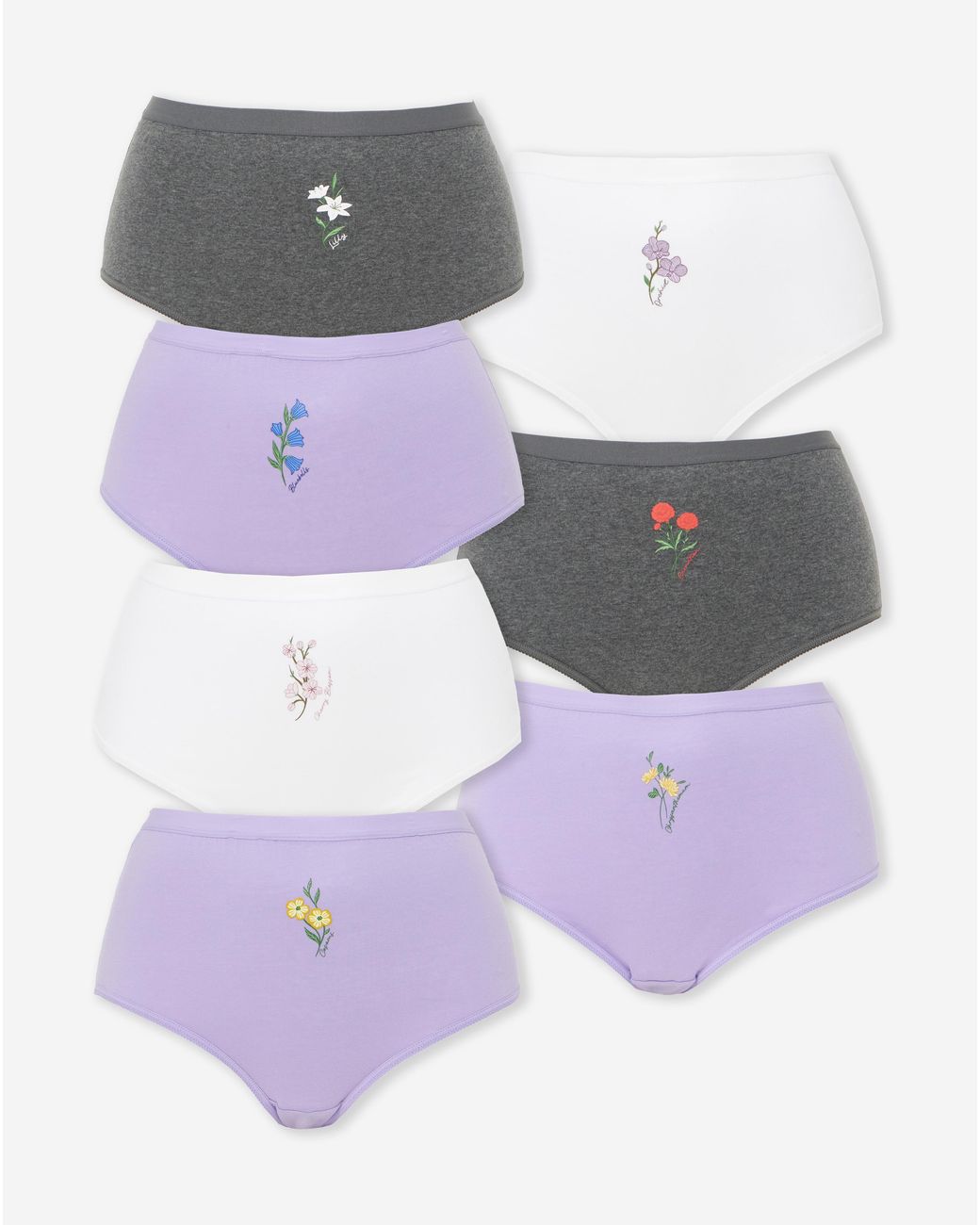 Pretty Secrets Purple 7 Pack Full Fit Brief
