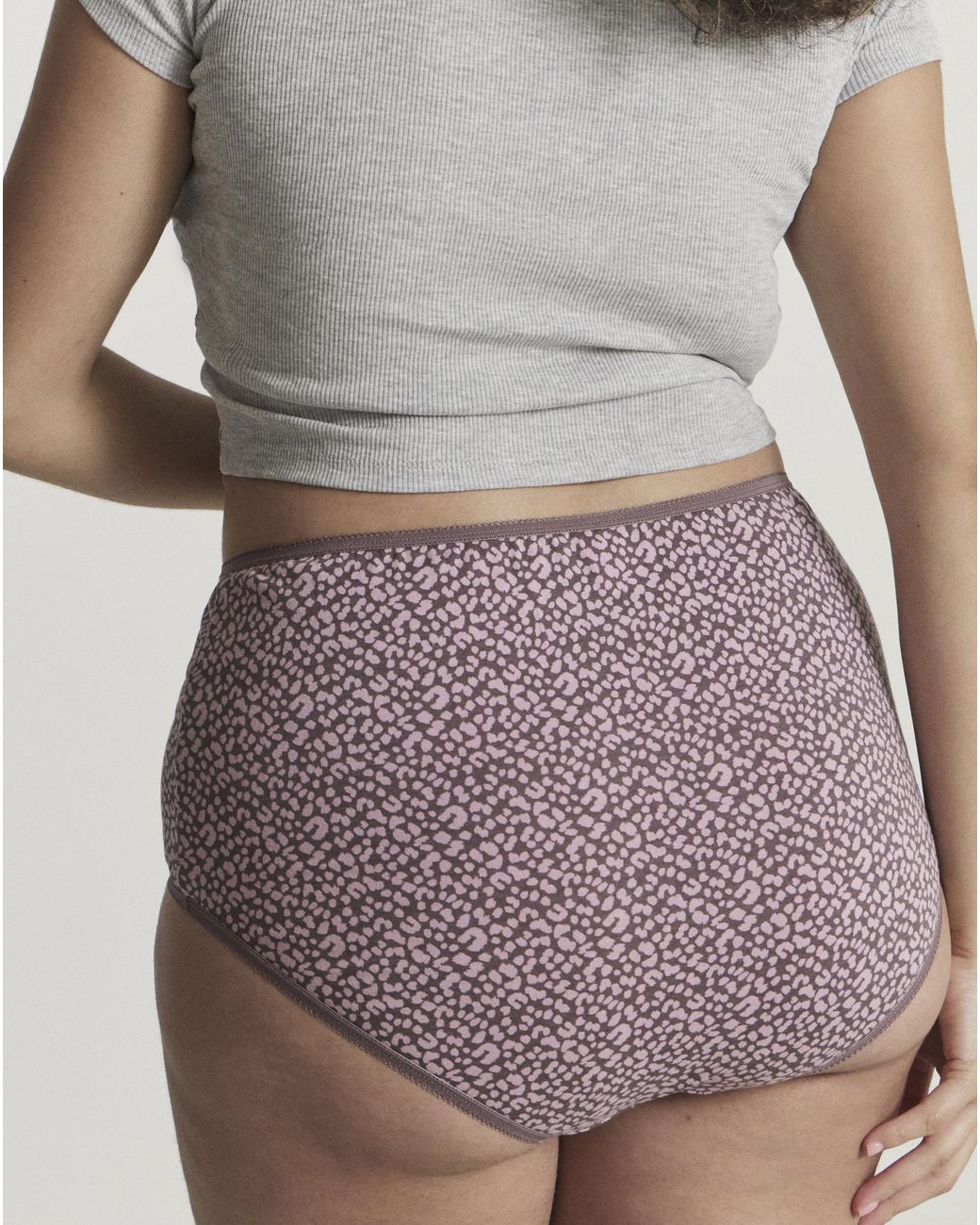 Pretty Secrets Gray 6 Pack Full Brief