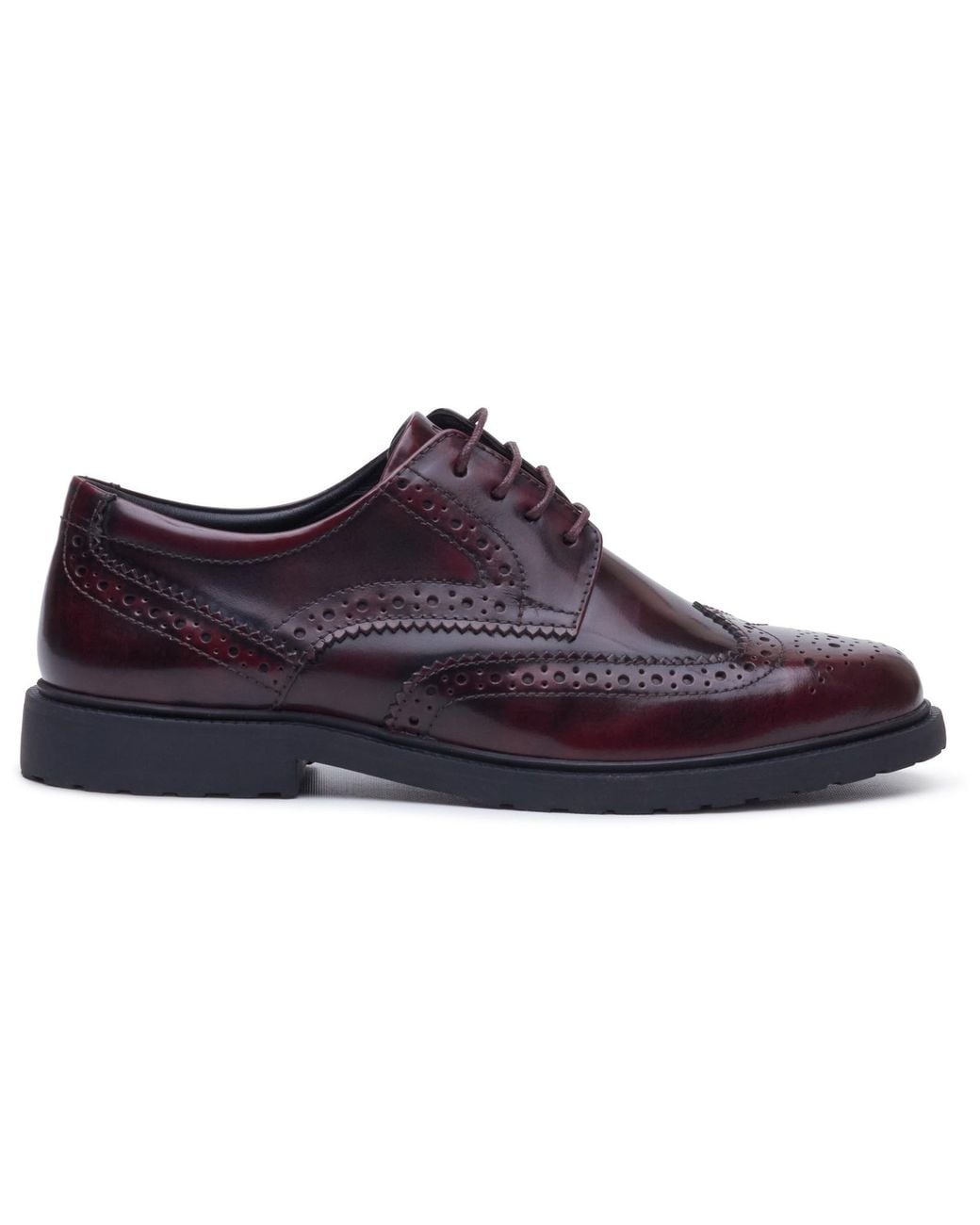 Hush Puppies Blue Verity Hi-Shine Brogue