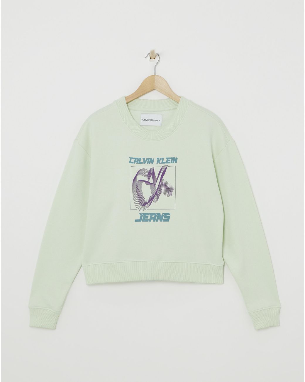 Calvin Klein Gray Hyper Real Sweatshirt
