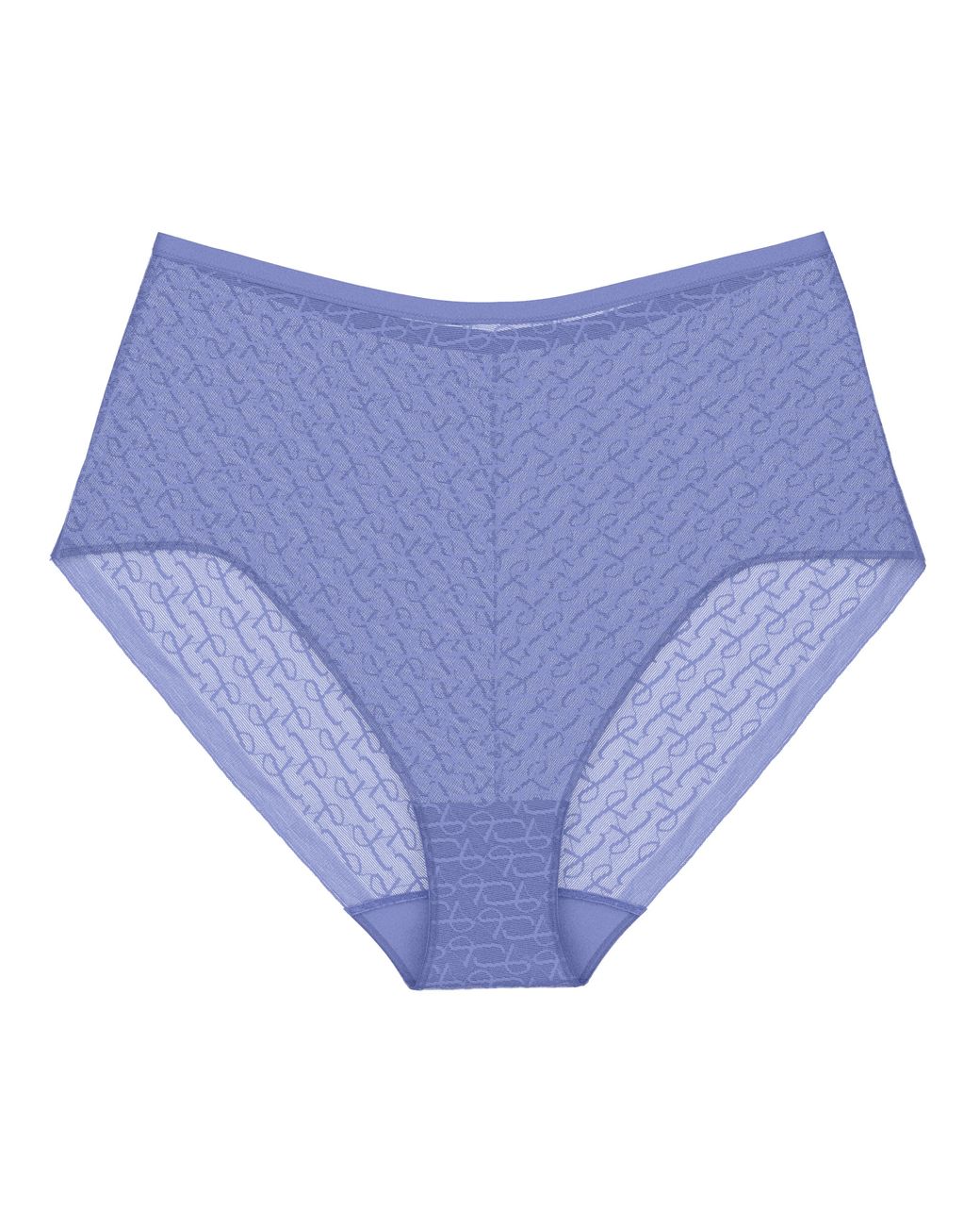Triumph Blue Signature Sheer Maxi Briefs