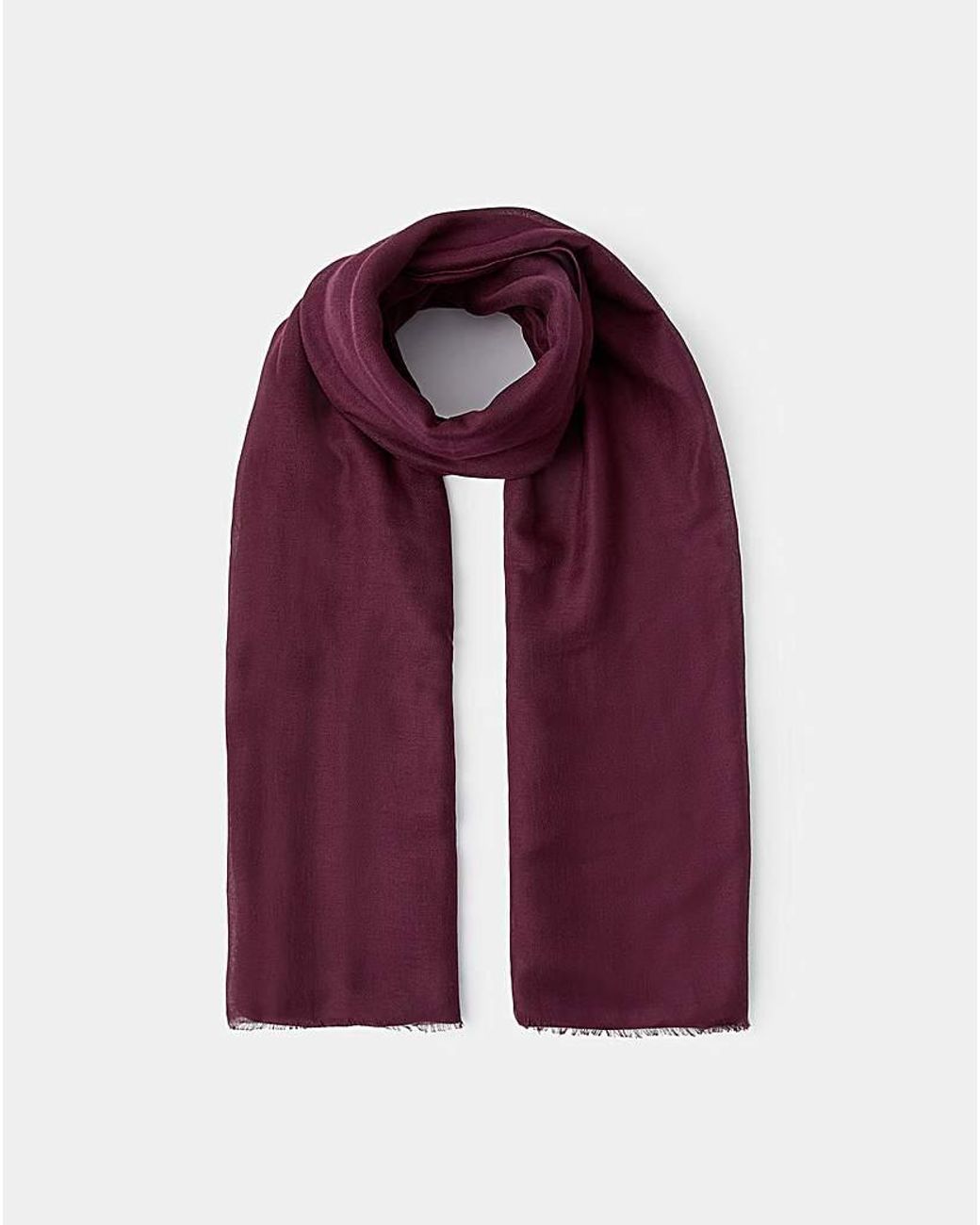 Accessorize Purple Lightweight Scarf