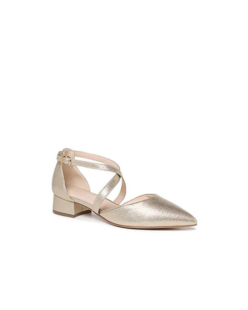 Paradox London White Fabienne Wide Fit Shoes