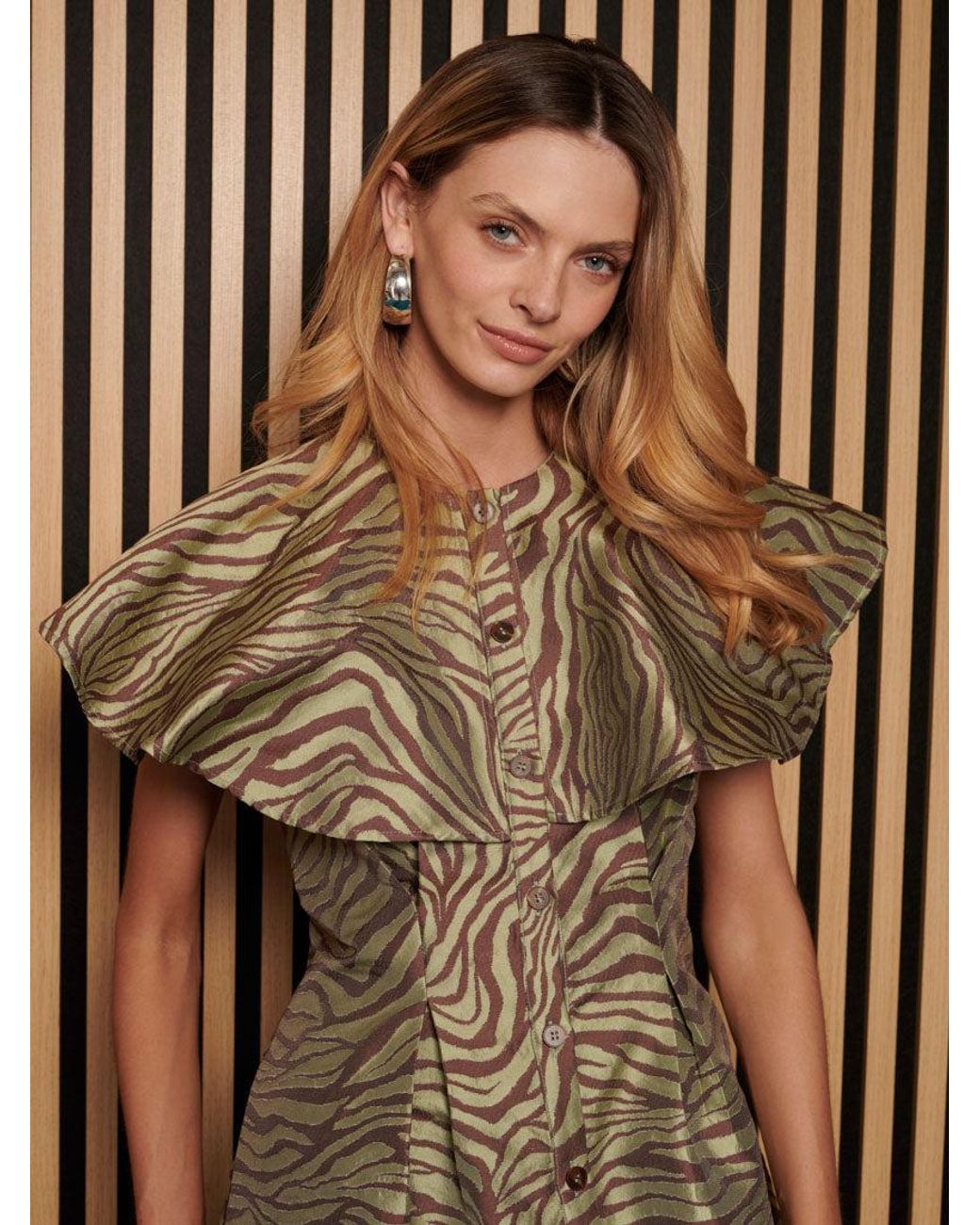 Sister Jane Brown Ghospell Claudia Zebra Mini Dress