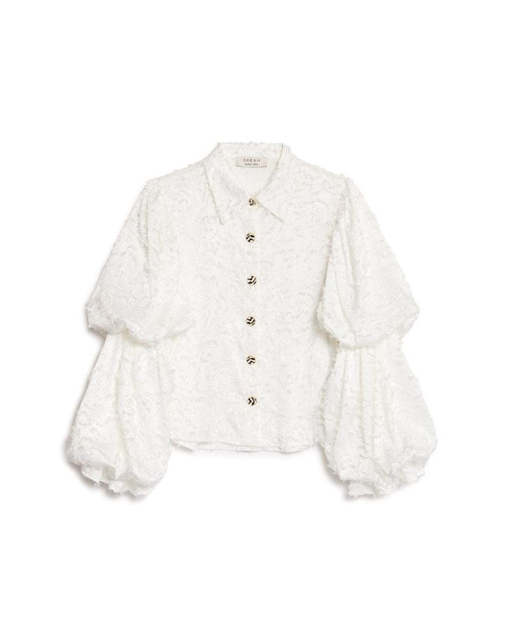 Sister Jane Brown Dream Starlet Textured Blouse