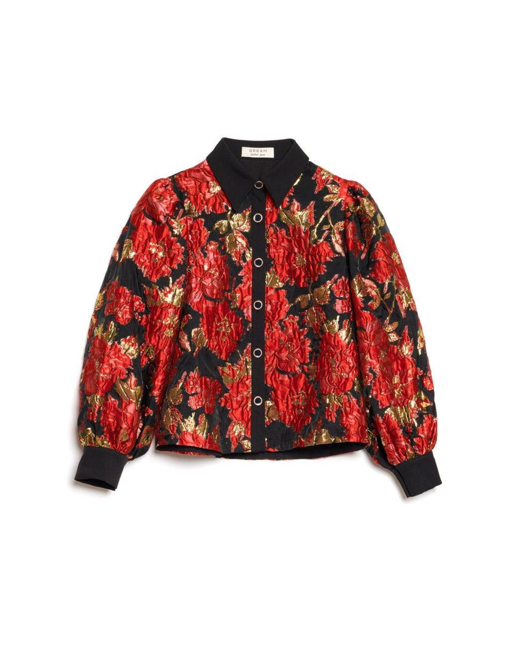 Sister Jane Red Dream Illusions Jacquard Blouse