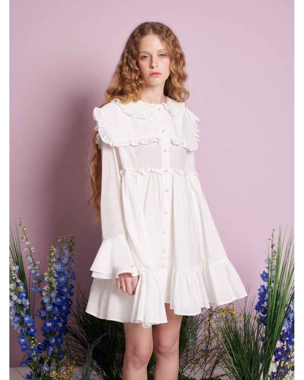Sister Jane Purple Sweet Pea Collar Mini Dress