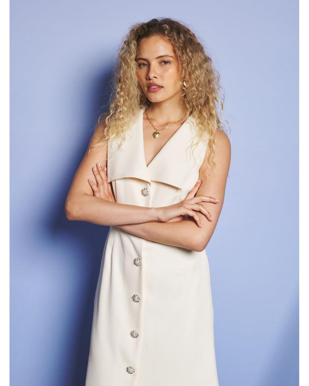 Sister Jane Blue Birdie Collared Midi Dress