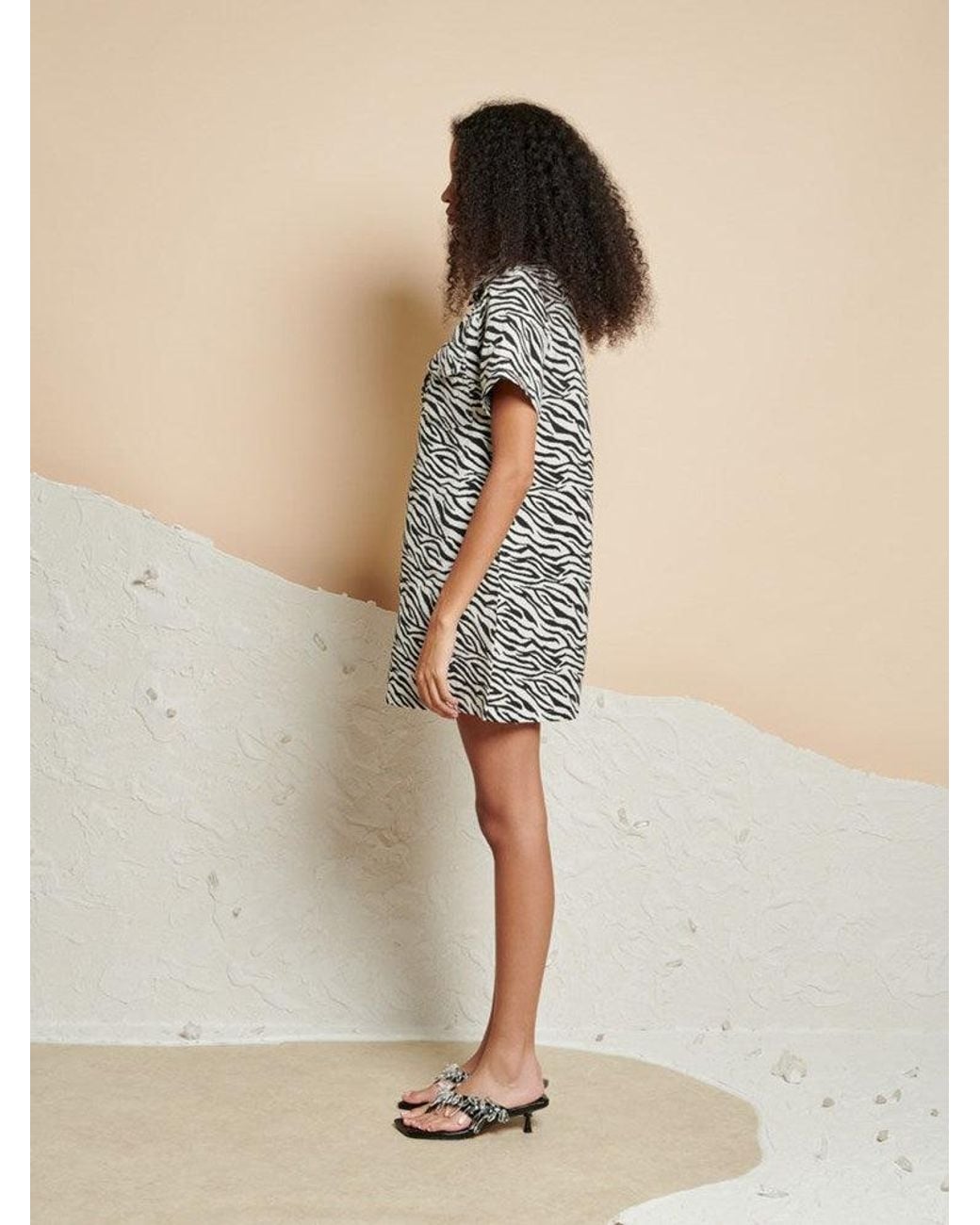 Sister Jane Multicolor Ghospell Zia Zebra Mini Dress