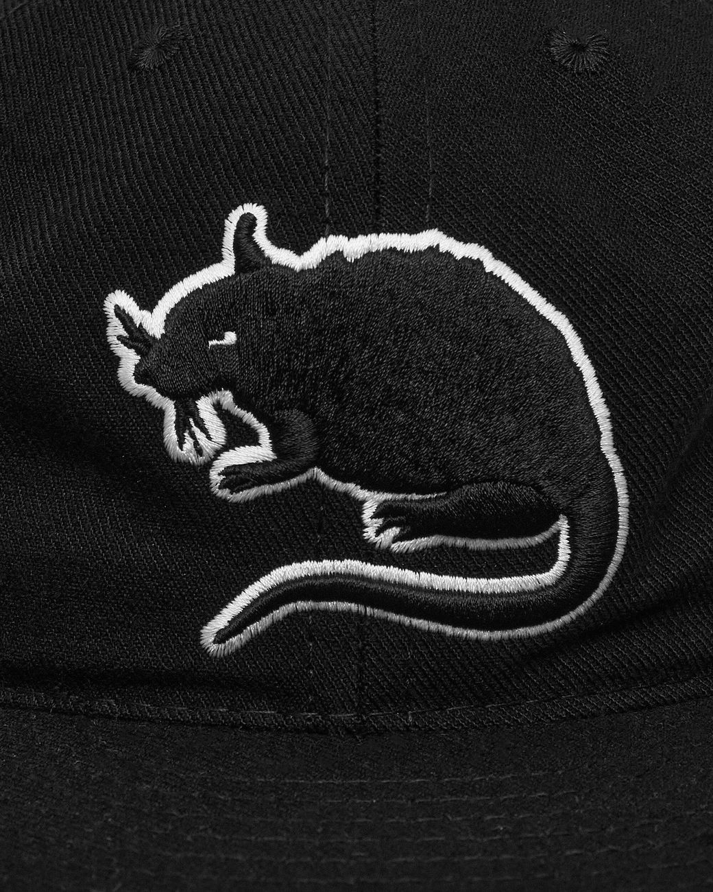 Stray Rats Rat Logo Fitted Hat in Black for Men | Lyst