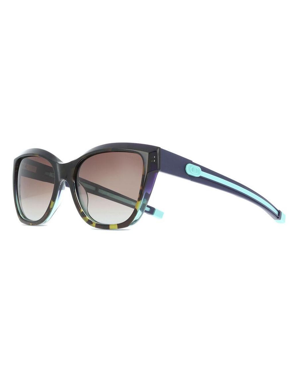 Champion Black Rowan Polarized C01