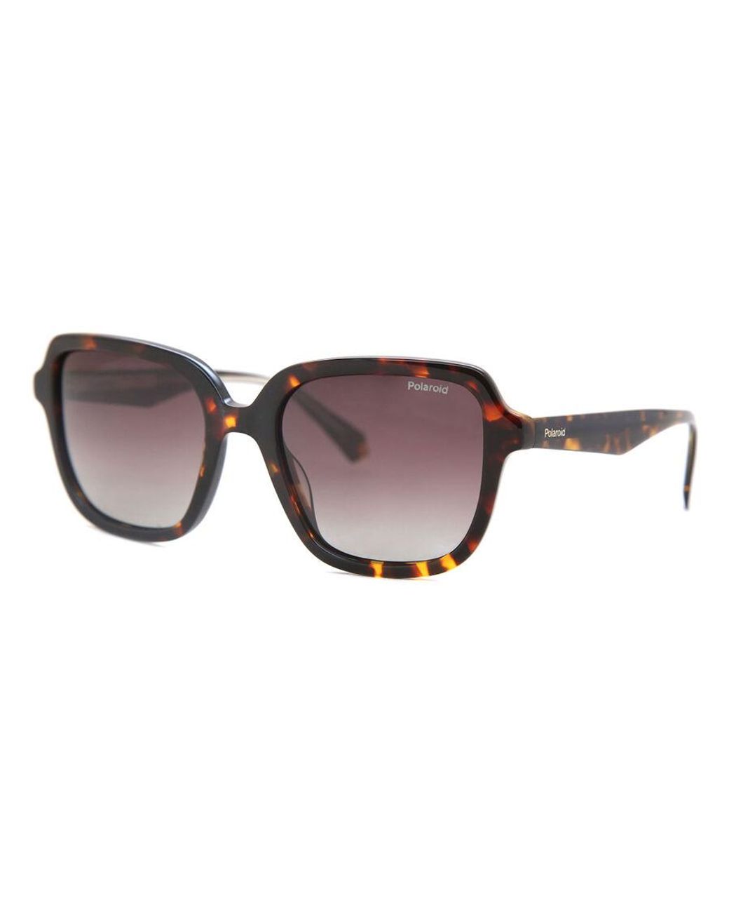 Polaroid Black Pld 4095/S/X Polarized 086/La