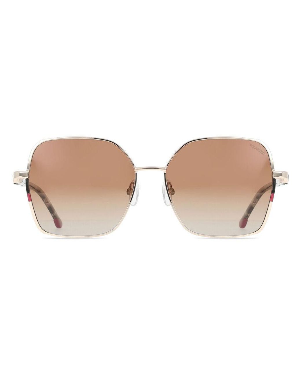 Champion Black Flora Polarized C01