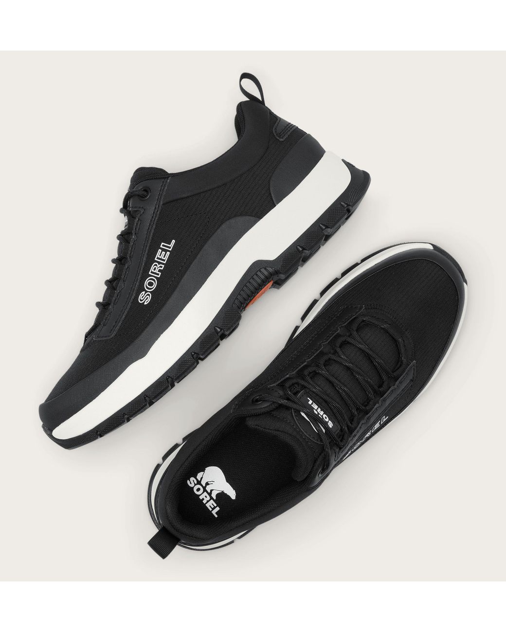 Sorel Outing Nw Low Sneaker in Black für Herren