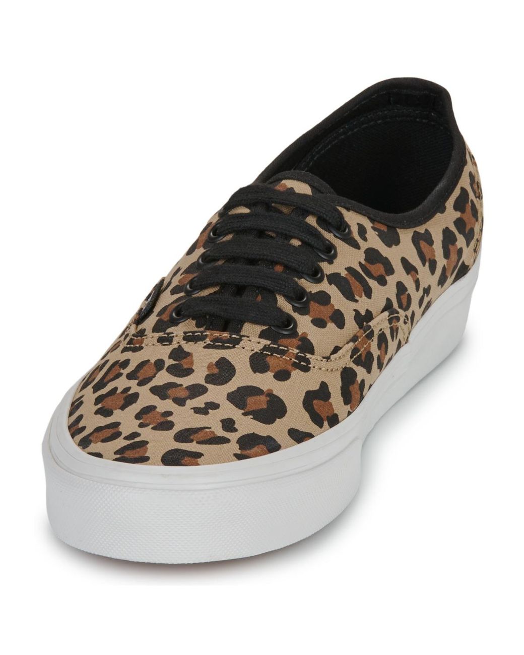 Baskets basses Authentic ANIMALIER LEOPARD Vans en coloris Brown