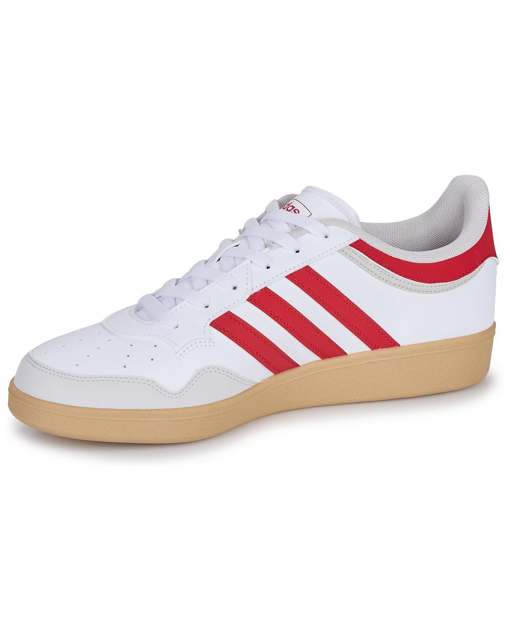 Baskets basses HOOPS 4.0 Adidas en coloris White