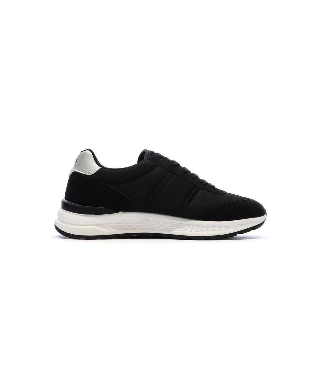 Baskets Basses Logan Levi's en coloris Black